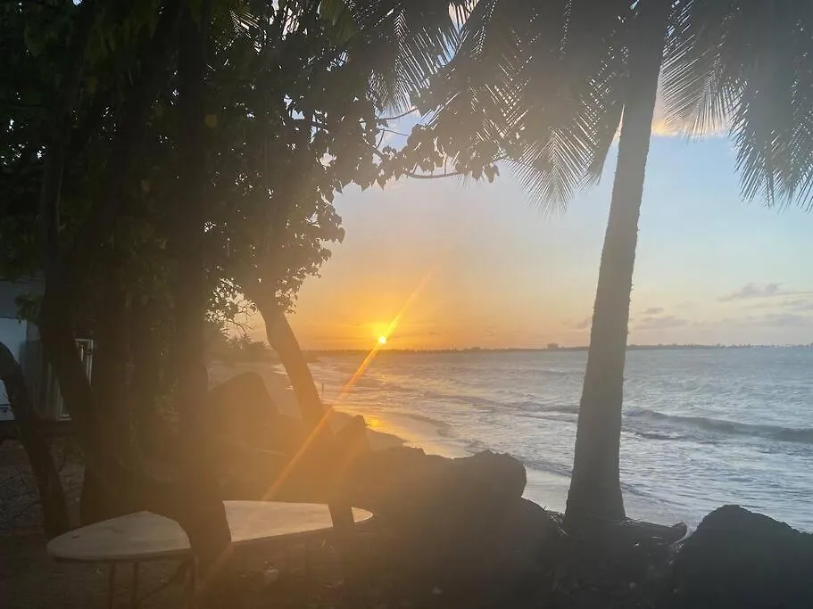 Apartment 2C - Couples Getaway-5 Min To Crashboat Beach Aguadilla Puerto Rico